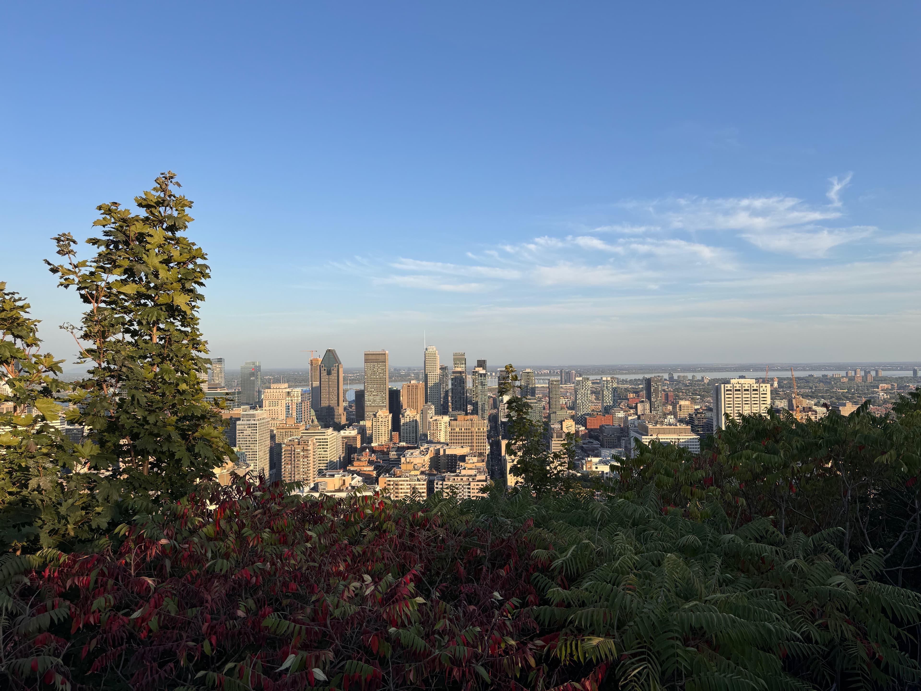 Old Port rooftops at golden hour